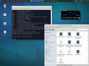Xfce Mysql server + Mysql connect